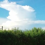 20100811151544.jpg