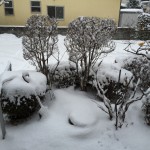 雪かきビフォー