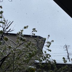 雪2